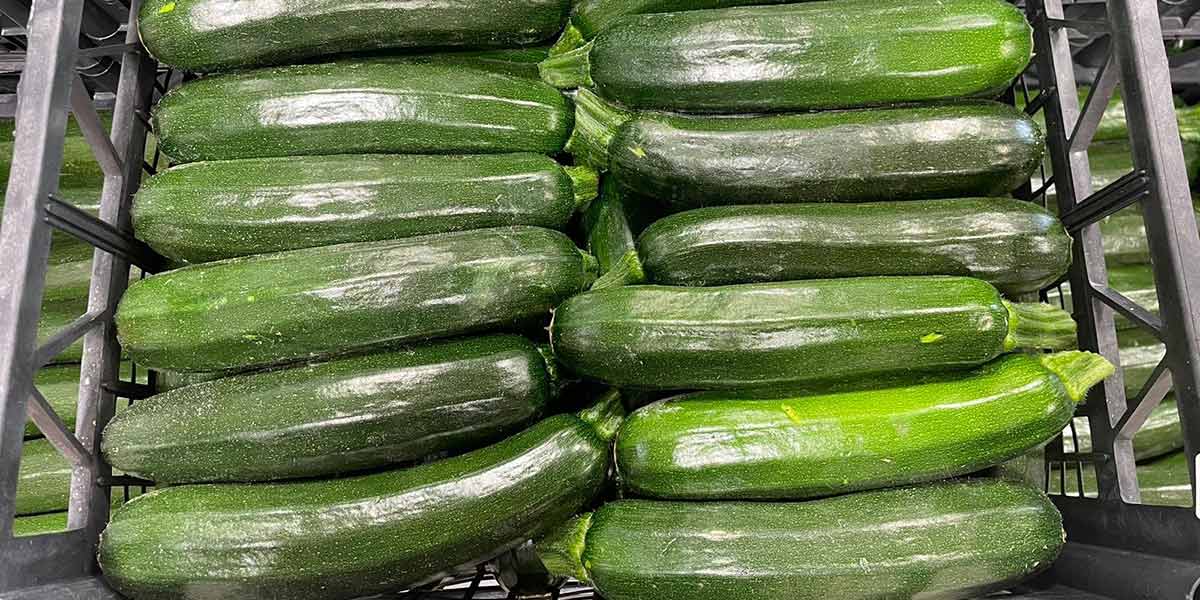 Verdure e ortaggi, continua il trend a ribasso